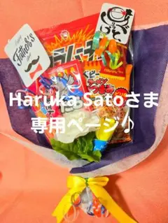 Haruka Satoさま専用ページ♪