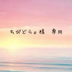 ちびどら。オーダー受付中様　専用