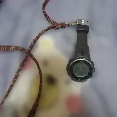 CASIO PROTREK プロトレック PRW-3000