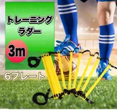 トレーニング ラダー 子供 サッカー フットサル スポーツ 基礎 瞬発力 3m