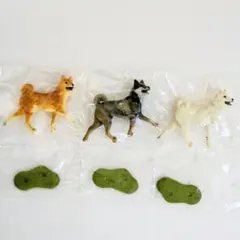 海洋堂 カプセルQ 日本のペット動物大全 第一集 紀州犬 3種セット 内袋未開封