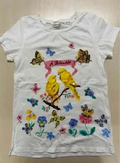 Item thumbnail for item 08e85072-27b6-42a7-b5a1-40490f4b9d19