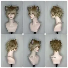 ラギー・ブッチ ウィッグ コスプレ ツイステ つけ耳 尻尾 ⑤ - メルカリ