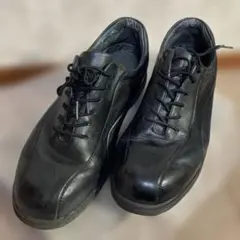 Item thumbnail for item 024b2a6d-36d5-4bbd-a073-e5c784112cae