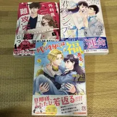 君はシンデレラ～孤高な御曹司が絶え間なく愛を注ぐ理由～【財閥御曹司シリーズ】 3