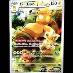 2025年最新】パーモットarの人気アイテム - メルカリ