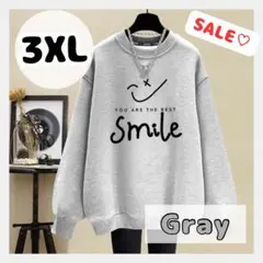 スウェット 長袖 トップス トレーナー メンズ レディース ロゴ 3XL