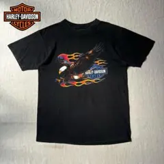 ハーレーダビッドソン 80s 剣 デビル スカル 豚 骨 銃 イーグル 