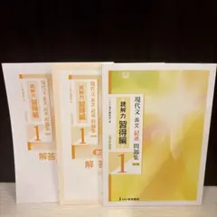 現代文 長文 記述 問題集 読解力習得編