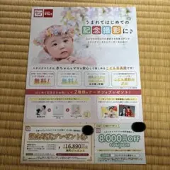 スタジオマリオ 記念撮影プレゼント券と8000円オフ　クーポンのサムネイル