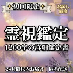 霊視鑑定/恋愛/復縁/片思い/人生相談/人間関係/親子関係/ツインレイ/金運上昇