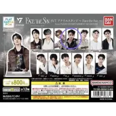 SEVENTEEN SVT ガチャ アクリルスタンド Face the Sun