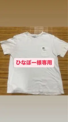 LACOSTE ホワイト Tシャツ US M