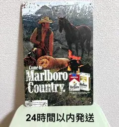 Item thumbnail for item a402be50-bf4e-4eac-898f-0e793517d7e6