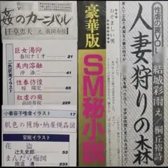 絶版】秘小説88.3 千草忠夫 結城彩雨 　蘭光生 杉村春也 前田寿按 楡畑雄二 絶版】秘小説88年3月 千草忠夫 結城彩雨 蘭光生 杉村春也 前田寿按 楡
