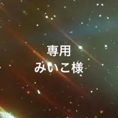 専用ページ みいこ様