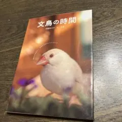 Item thumbnail for item aab063ec-2a03-4626-9f28-f57662996c34