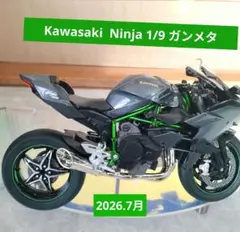 Ninja 1/9 Kawasaki ／ ダイキャスト模型完成品 - メルカリ