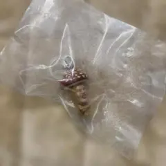 こびとづかん　めじるしマスコット　 めじるしアクセサリー