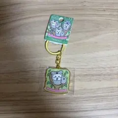 オーストラリア限定　ちいかわキーリング　コアラ