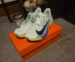 NIKE AIR ZOOM RIVAL FLY 4のサムネイル