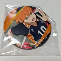 ハイキュー!! 百面相缶バッジ Vol.4 日向翔陽