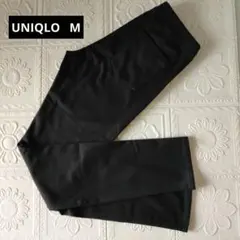 Item thumbnail for item 09a3bff2-d711-48cc-ba09-3bf073b421d4