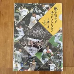 ソフトバンクホークス 80周年記念クリアファイル　未開封品