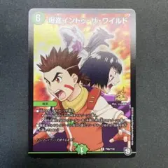 30070 爆進イントゥ・ザ・ワイルド 爆進イントゥザワイルド PROMO 1枚
