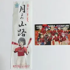 蓮ノ空 ツエーゲン金沢 コラボタオル 藤島慈 大沢瑠璃乃 安養寺姫芽 セット 蓮ノ空 ツエーゲン金沢 コラボタオル 藤島慈 大沢瑠璃乃 安養寺
