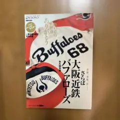 さらば大阪近鉄バファローズ　　週刊ベースボール別冊
