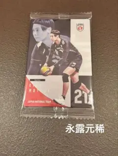 バレーボール　男子日本代表　ウエハース　永露元稀