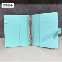 バインダー シール帳 ケース グリーン シール交換 A5 6穴 ファイル 手帳