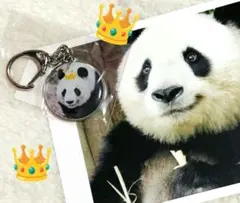 のりおちゃん様 リクエスト 3点 まとめ商品