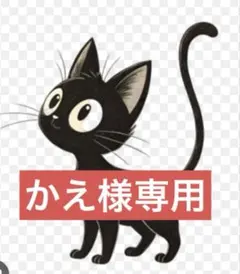かえ様専用出品