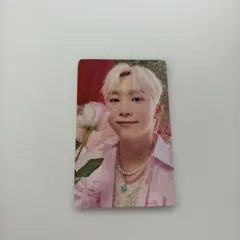 SEVENTEEN SEUNGKWAN トレカ 2023 シーグリ