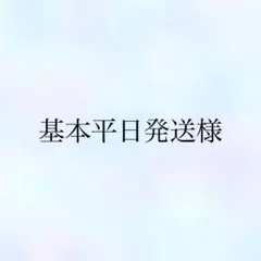 基本平日発送（品物によって土日発送あり）様 リクエスト 3点 まとめ商品