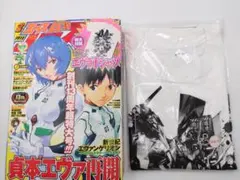 写真集】エヴァンゲリオン レーシング RQ：戦闘と日常 DVD付 水谷望愛
