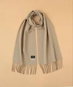 BEAMS LIGHTS / アルパカ ソリッドマフラー