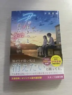 君はきっとまだ知らない 本
