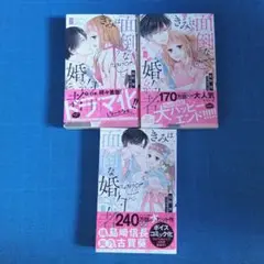 きみは面倒な婚約者 3巻セット