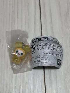 twice lovelys めじるしアクセサリー ジヒョ