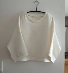 t2958 【アンシェヌマン】 フレンチスリーブブラウス ビッグカラー 