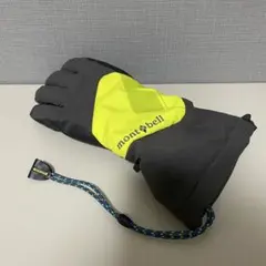 スキーグローブ