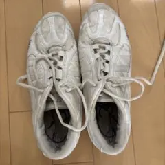 チアリーディング