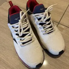 Mizuno ゴルフシューズ 26.0 EEE ホワイト/ネイビー/レッド