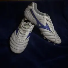 Item thumbnail for item 5bf18a3a-a8fa-4669-9fbd-861ef549b99d