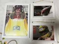 アイルトン・セナ 1991年ブラジルGP 色鉛筆画 - メルカリ