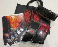 DIR EN GREY TOUR25 蜿蜒　VIP特典　お土産　一式