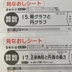 カラーテスト　小学5年　算数　東京書籍　新学社のサムネイル